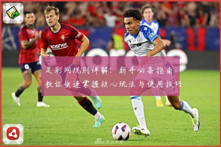足彩网规则详解：新手必备指南，教你快速掌握核心玩法与使用技巧