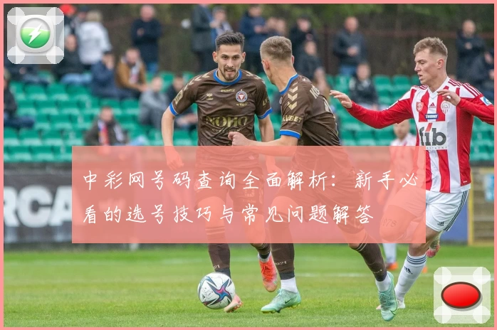 中彩网号码查询全面解析：新手必看的选号技巧与常见问题解答