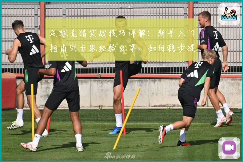 足球竞猜实战技巧详解：新手入门指南到专家经验分享，如何稳步提升胜率