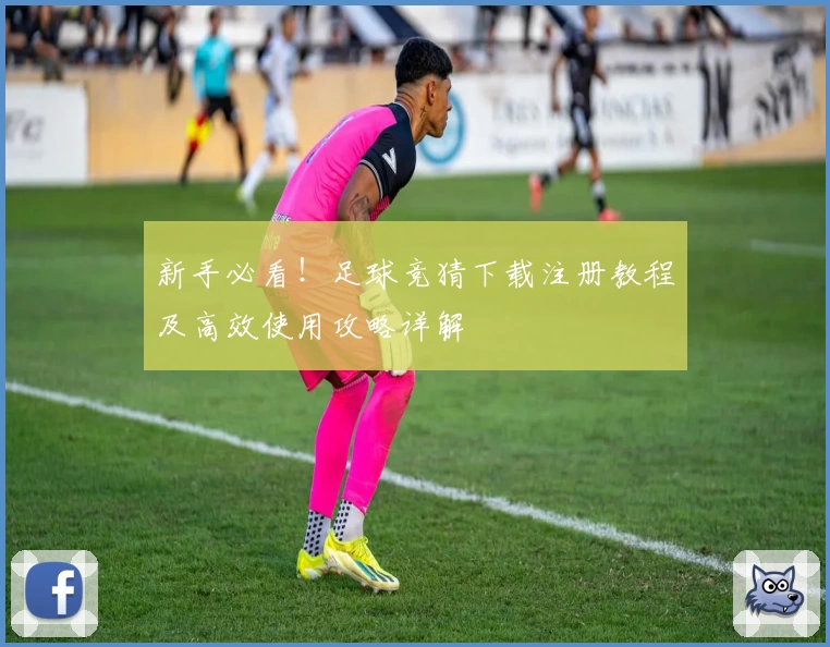 新手必看！足球竞猜下载注册教程及高效使用攻略详解
