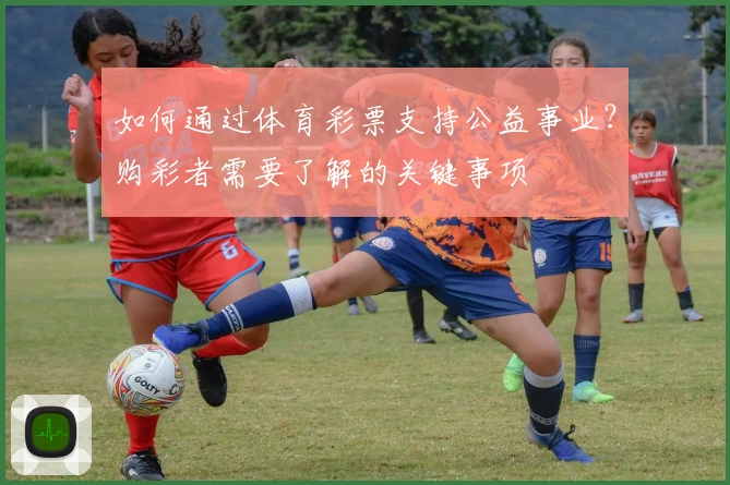 如何通过体育彩票支持公益事业？购彩者需要了解的关键事项