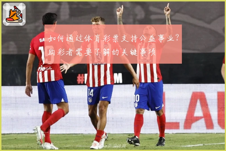 如何通过体育彩票支持公益事业？购彩者需要了解的关键事项