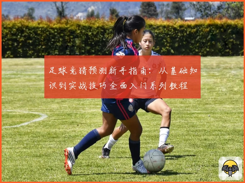 足球竞猜预测新手指南：从基础知识到实战技巧全面入门系列教程