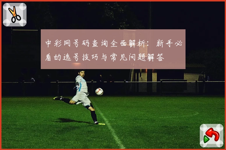 中彩网号码查询全面解析：新手必看的选号技巧与常见问题解答