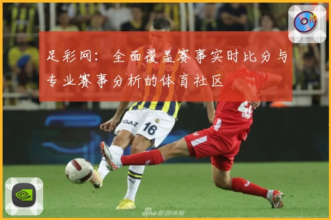足彩网:全面覆盖赛事实时比分与专业赛事分析的体育社区
