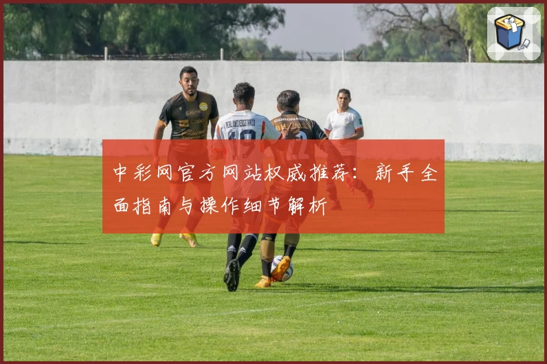 中彩网官方网站权威推荐：新手全面指南与操作细节解析